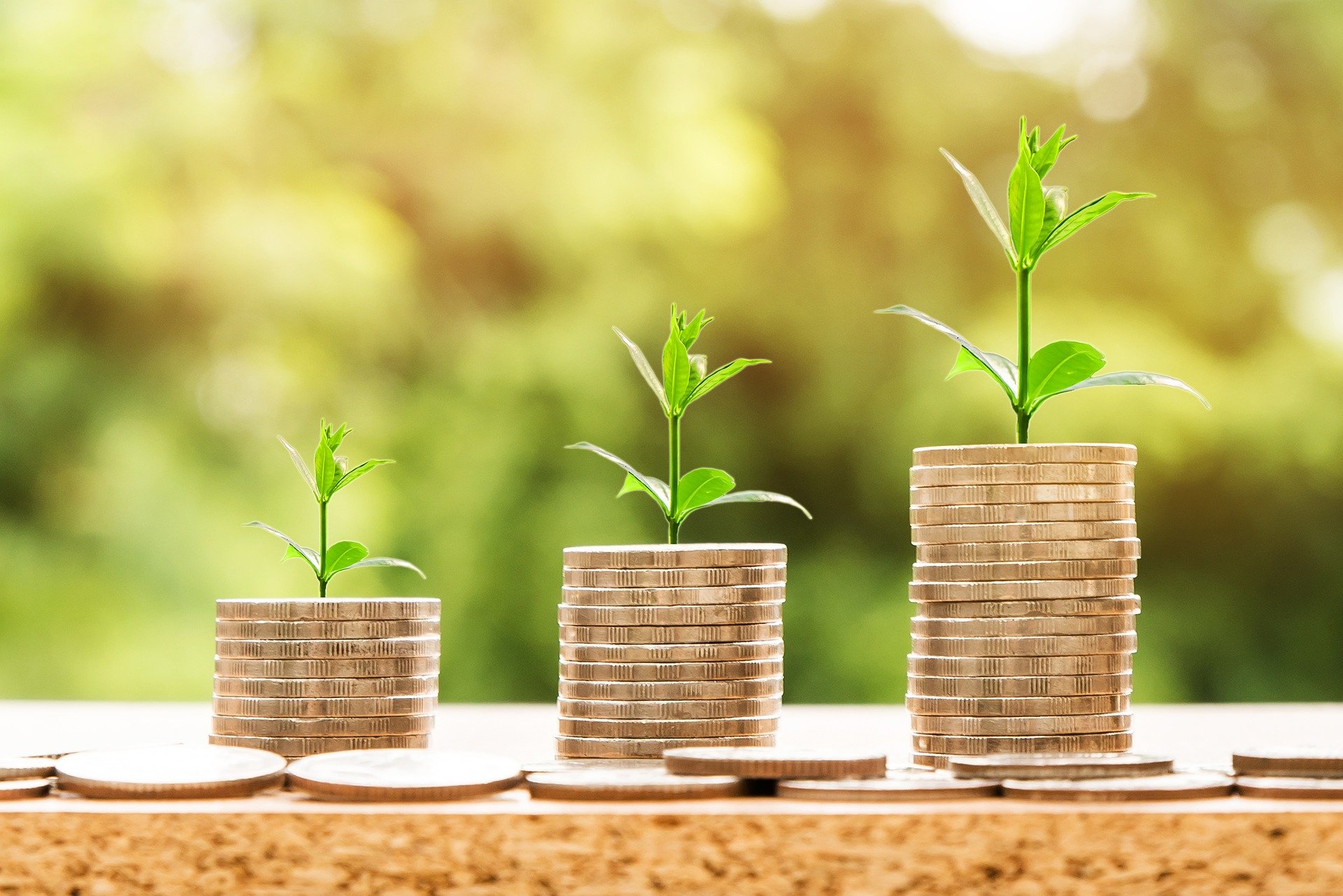 Parte 4: Elabora un plan para tu negocio